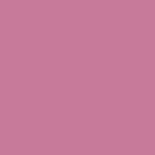 Benjamin Moore Tropical Rose 1355 paint color swatch
