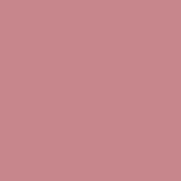 Benjamin Moore Toasted Mauve 1279 paint color swatch