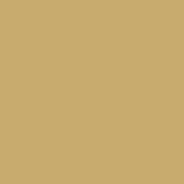 Benjamin Moore Citrine AF-370 paint color swatch
