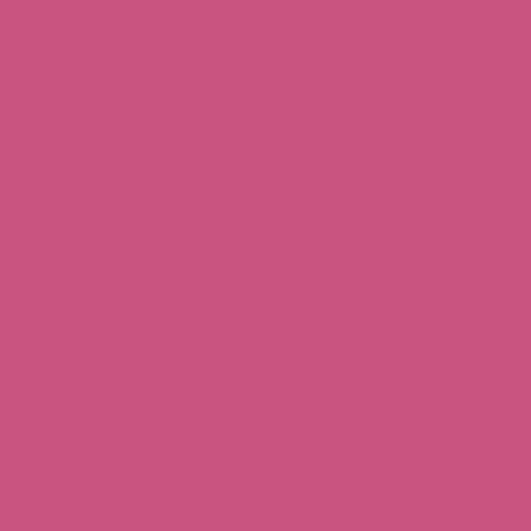 Benjamin Moore Razzle Dazzle 1348 paint color swatch