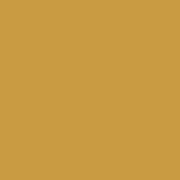 Benjamin Moore Fields of Gold 203 paint color swatch