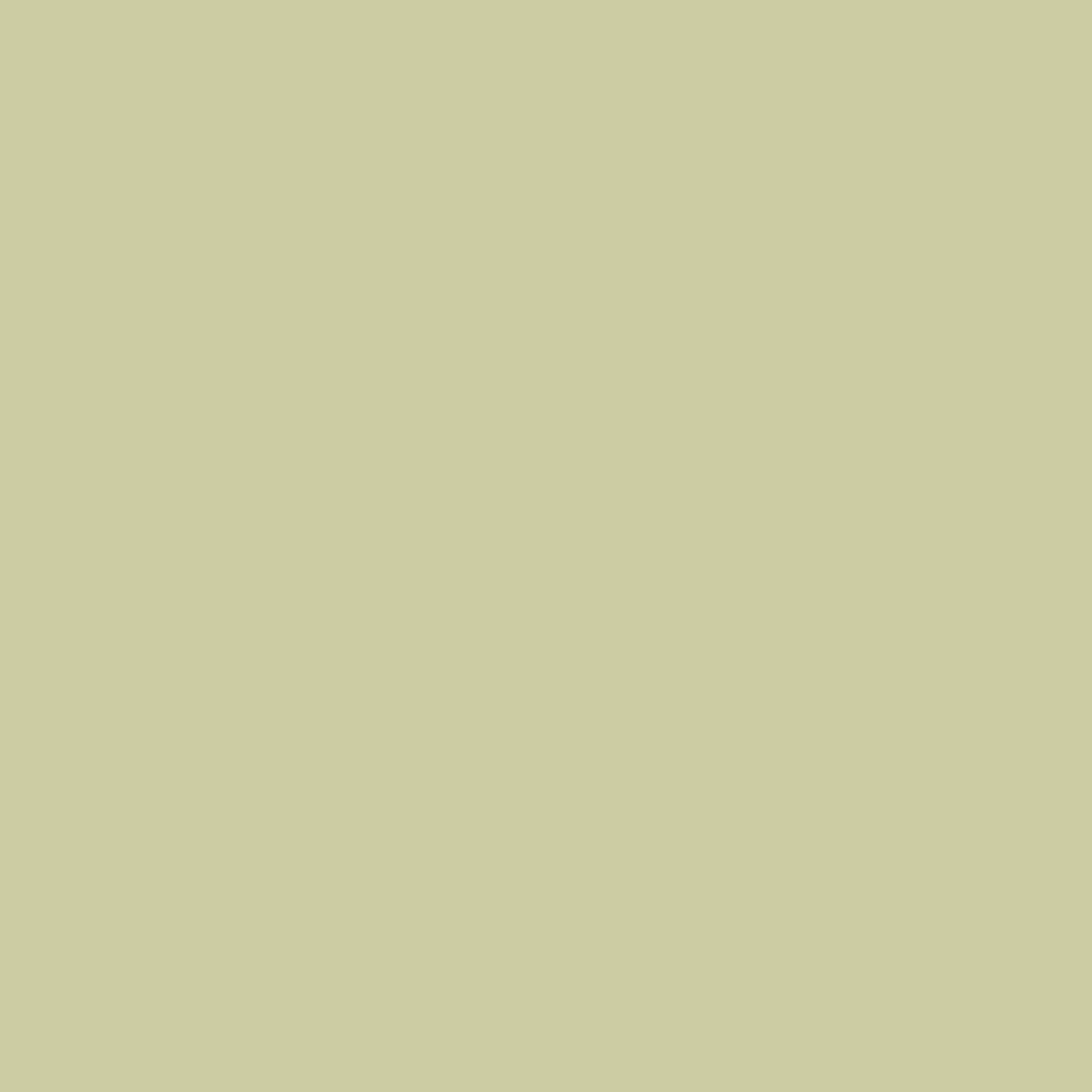 Benjamin Moore Fernwood Green 2145-40 paint color swatch