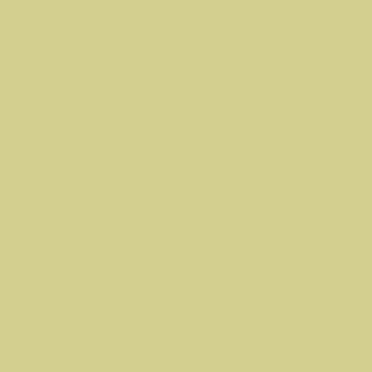 Benjamin Moore Green Umber CW-460 paint color swatch