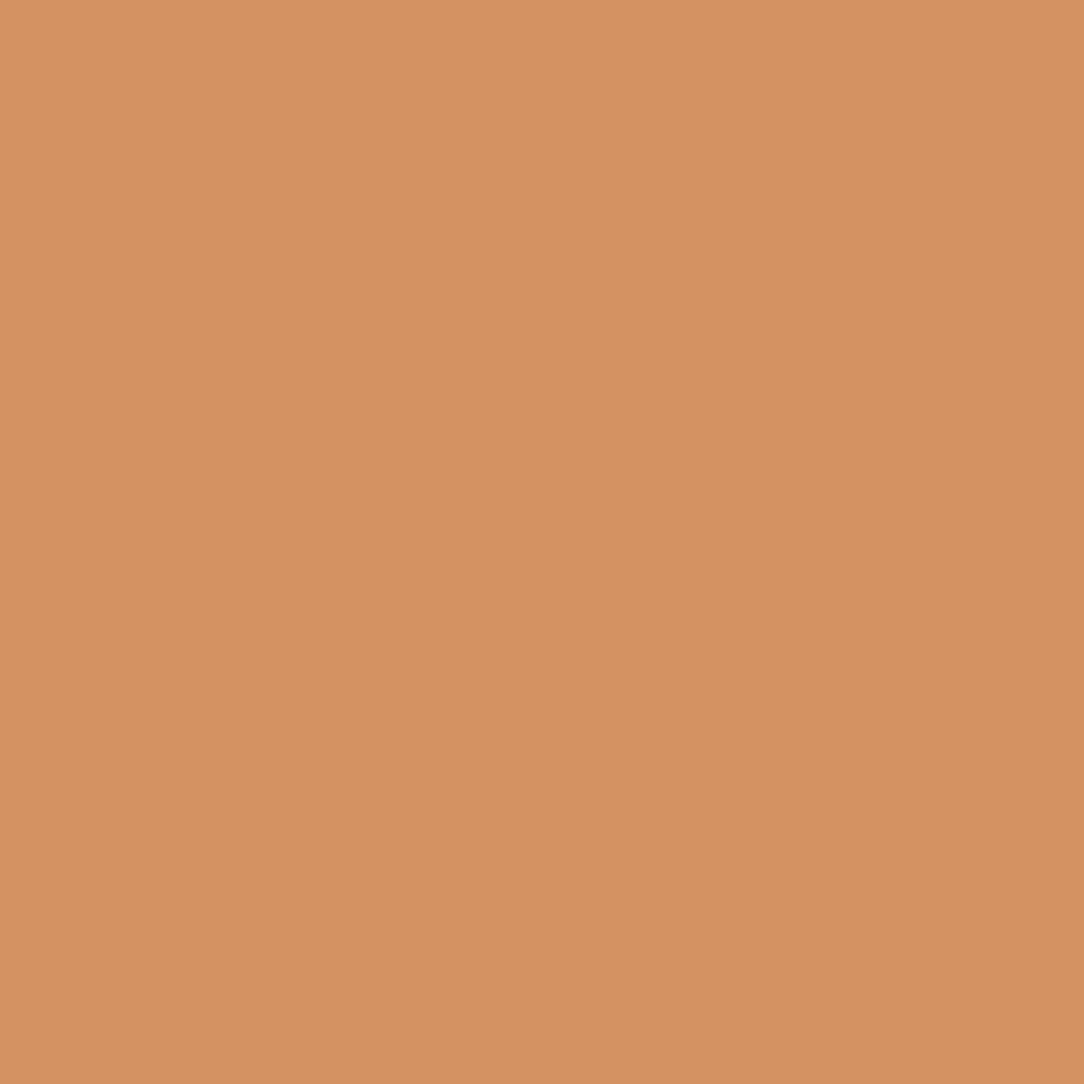 Benjamin Moore Rio Rancho Clay 111 paint color swatch