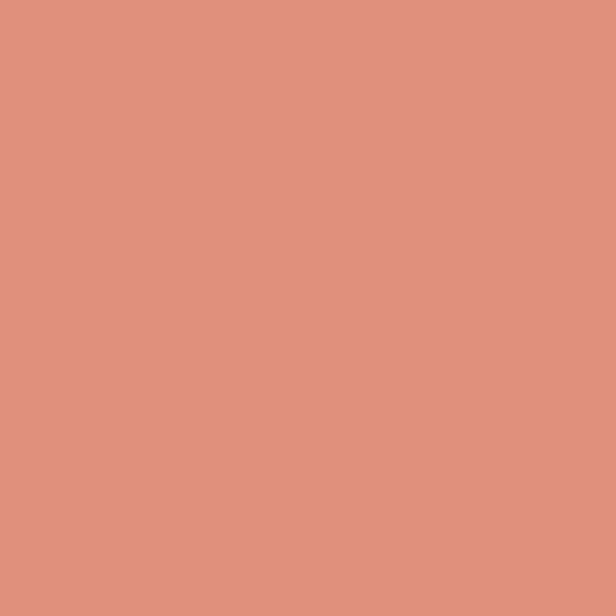 Benjamin Moore Coral Rock 032 paint color swatch