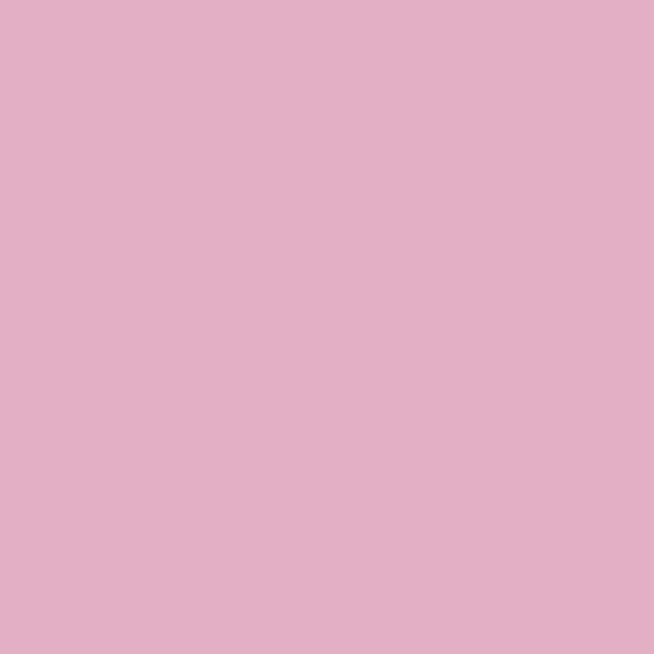 Benjamin Moore Wild Heart 1354 paint color swatch