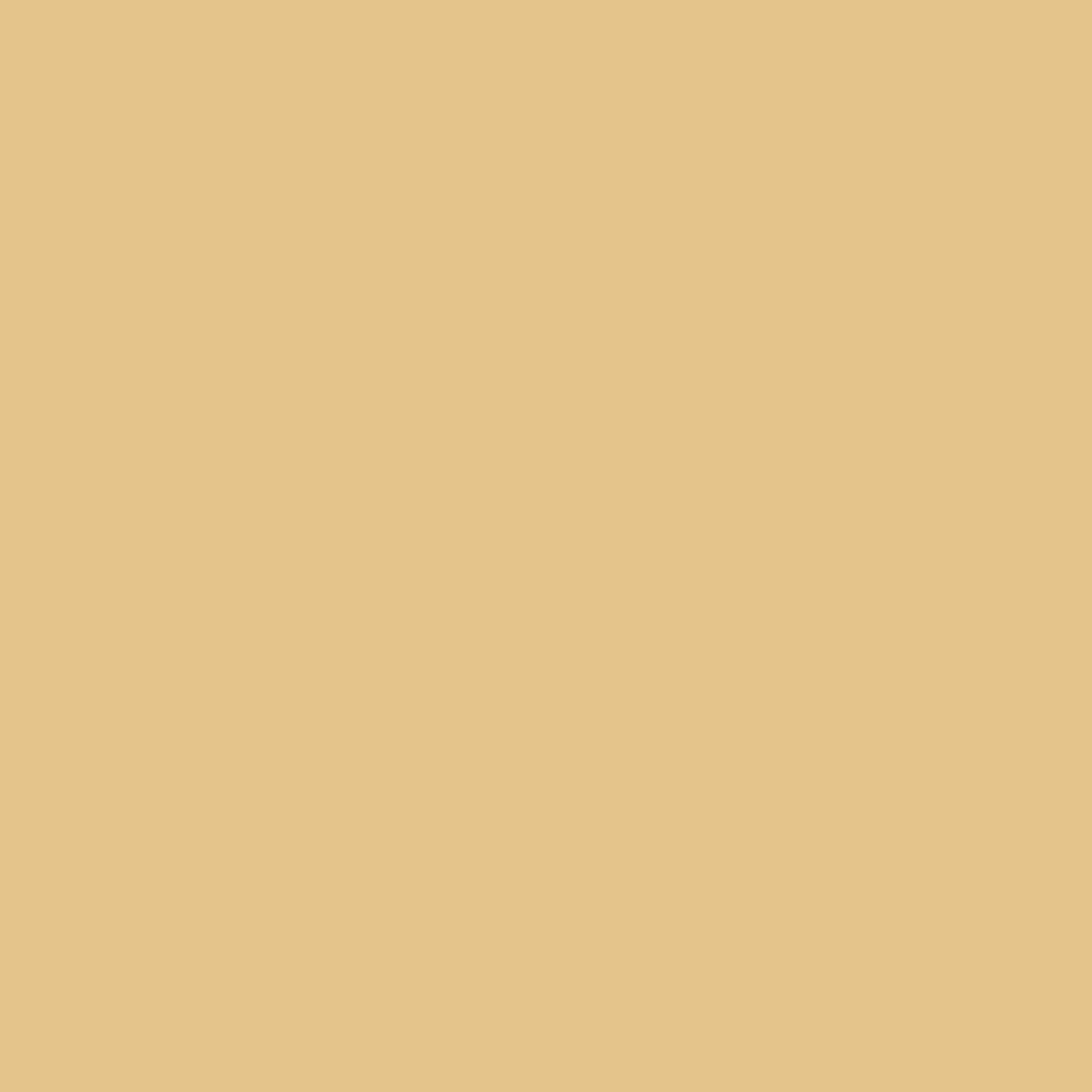 Benjamin Moore Maple Fudge CC-242 paint color swatch