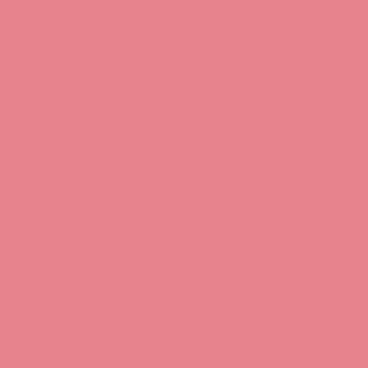 Benjamin Moore Potpourri 1312 paint color swatch