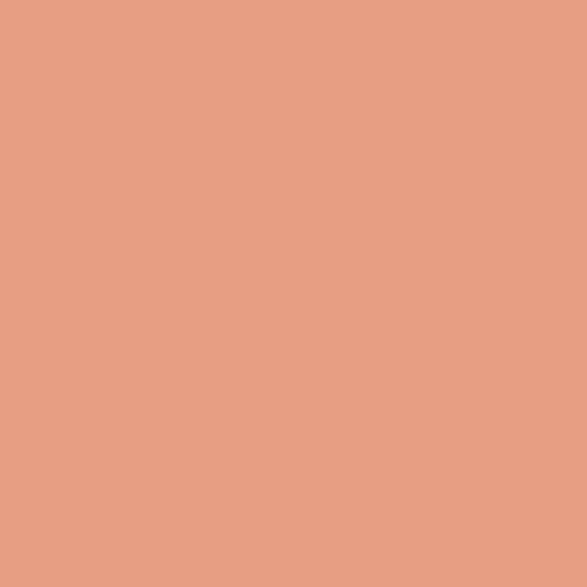 Benjamin Moore Coral Glow 026 paint color swatch