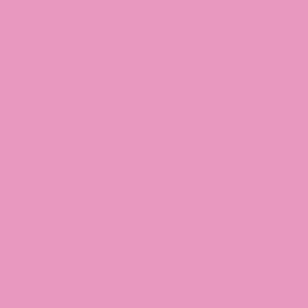 Benjamin Moore Island Sunset 1346 paint color swatch
