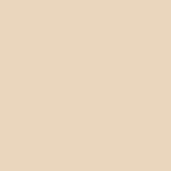 Benjamin Moore Creamy Satin 1087 paint color swatch