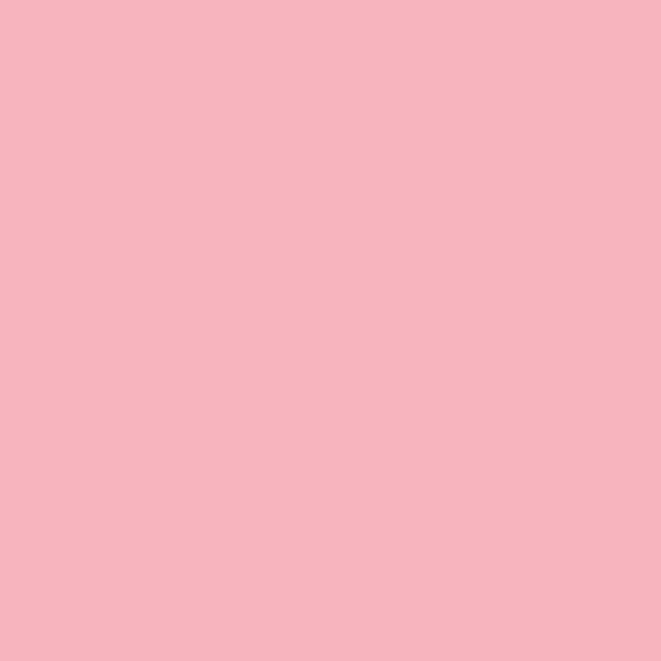 Benjamin Moore Confetti 1311 paint color swatch