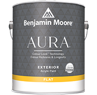 Aura Waterborne Exterior Paint - Flat Finish 629